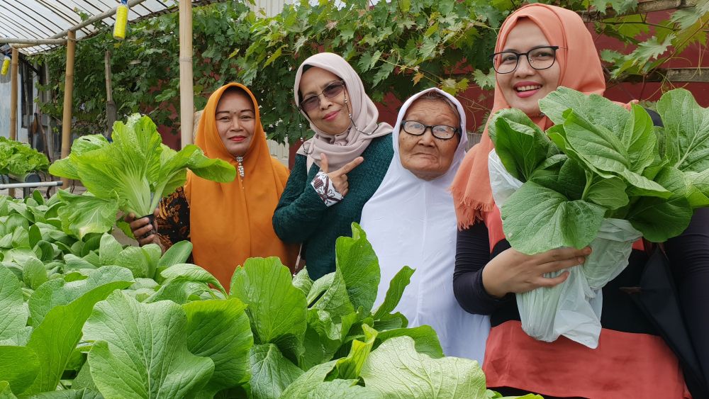 Kebun Hidroponik Kartini